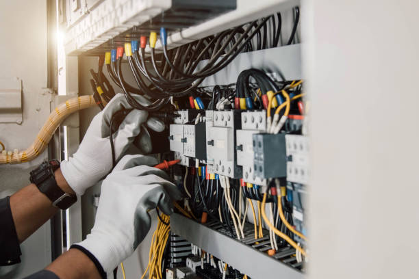 Best Electric Panel Repair  in Rustburg, VA